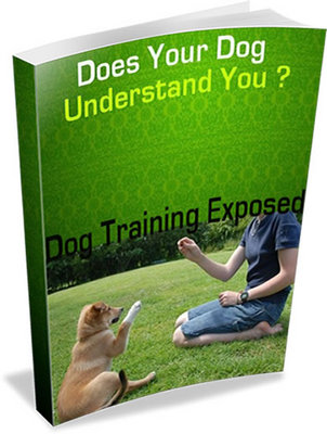 Product picture Does your dog understand you? Dog training exposed